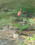 Listening (Garden in the Woods)