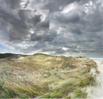 Brain Storms Cape Cod (#7)