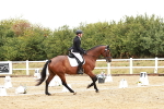 SBM_001187
