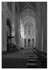 Notre Dame Paris