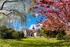 z4433 Spring Colours at St Blasius Shanklin