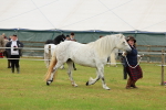 SBM_00538