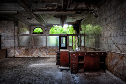 Trees Use Rear Entrance | Abandoned Second National Bank, Brownsville