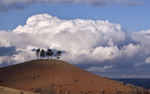 Colmers Hill