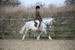 SBM_006313