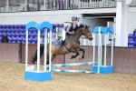 Class 2 - 50cm showjumping portfolio
