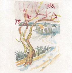 Winter Berries