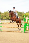 SBM_003491