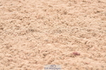230531A-101758-00071