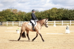 SBM_009894