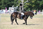 WJ7_3441