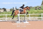 BPP_2194