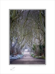 01 9x12 2022-030C Winter at the Dark Hedges Co Antrim
