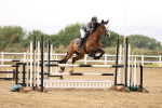 SBM_025593