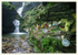 St.Nectan's Nieve 2