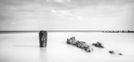 IMG_7182 v6 bw