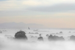 Misty  morning 