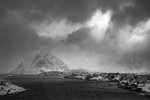 Reine