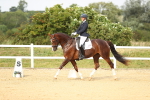 SBM_018445