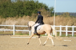 SBM_001551