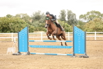 SBM_023681