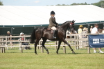 SBM_09145