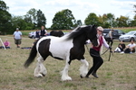 WJ6_5507
