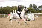 SBM_008484