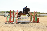 SBM_006786