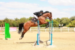 SBM_006186