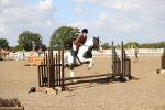 SBM_03339