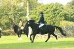 SBM_66543