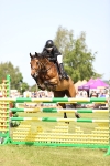 SBM_03985