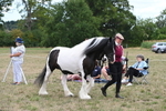 WJ6_5197