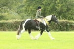 SBM_75335