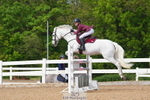 Cls 7 Pony Foxhunter & Open portfolio