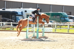 SBM_000446