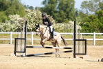 SBM_007383