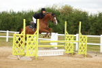 SBM_009375