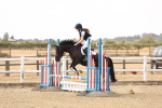SBM_001034