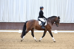 SBM_001153