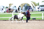 SBM_00237