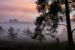 Surrey evening in wintertime.