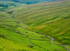 Yorkshire11