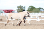 SBM_04005