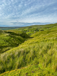 Yorkshire2