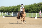 SBM_007339