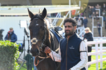 241025-Race 4-Mr McLoughlan-3587