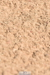 230811A-130718-05075