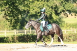 SBM_17357